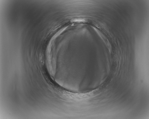 X0000055980031200509092005