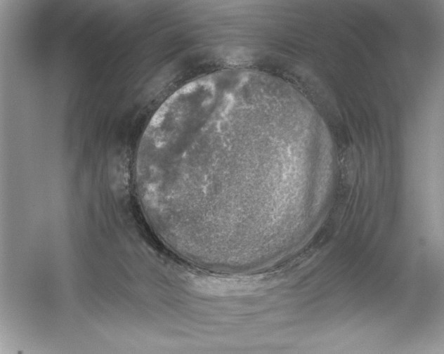 X0000055980032200509092005