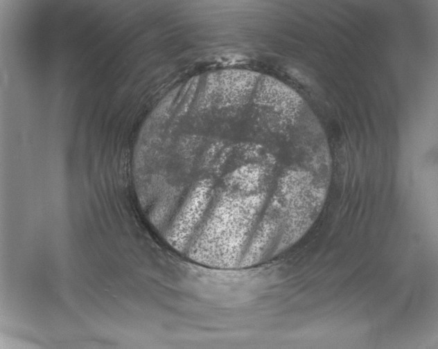 X0000055980034200509092005