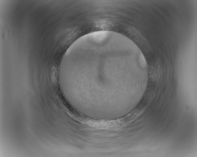 X0000055980036200509092005