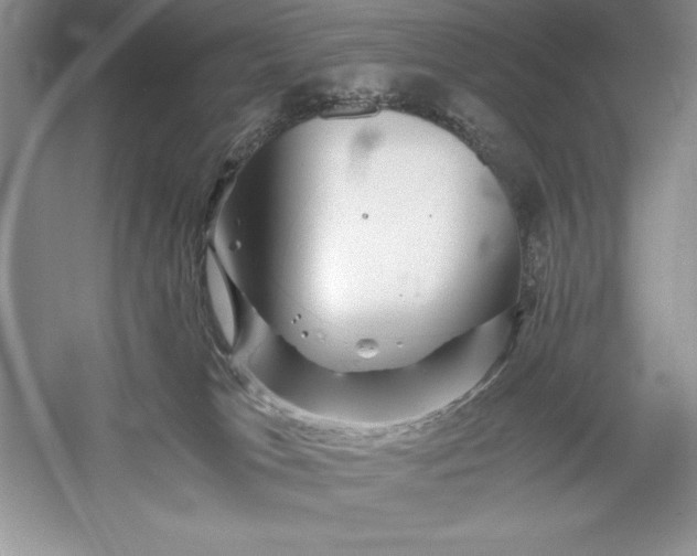 X0000055980037200509092005