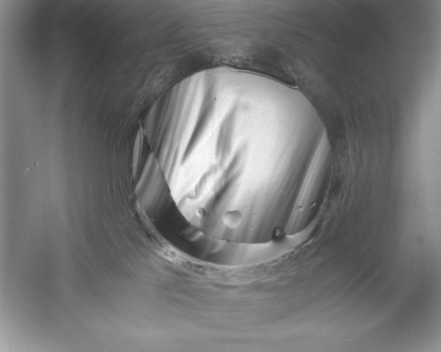 X0000055980041200509092005