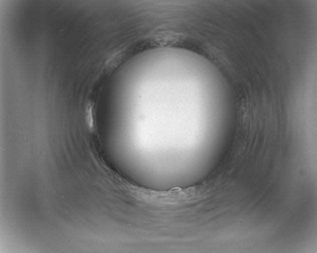 X0000055980042200509092005