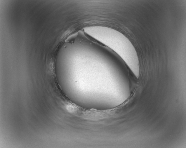 X0000055980045200509092005