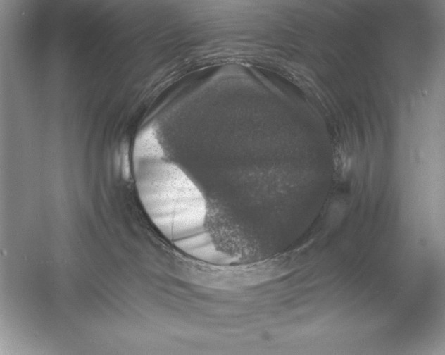 X0000055980046200509092004