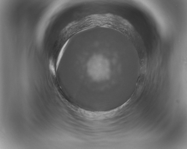 X0000055980047200509092004