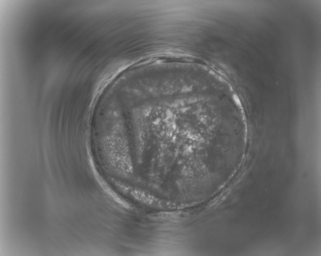 X0000055980049200509092004