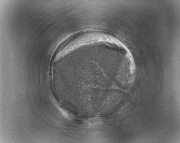 X0000055980050200509092004