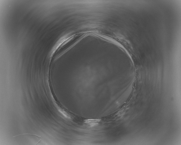 X0000055980051200509092004