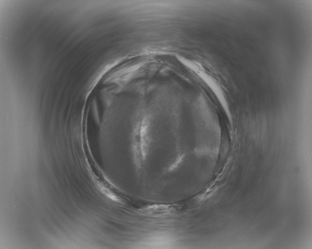 X0000055980052200509092004