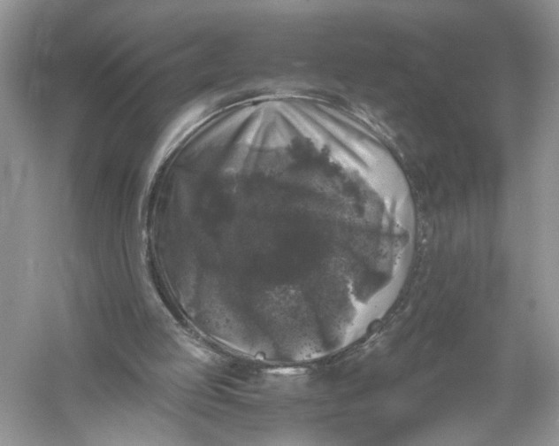 X0000055980053200509092004