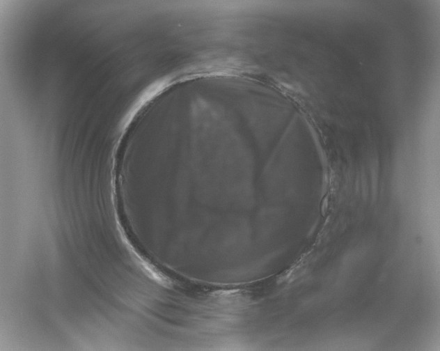 X0000055980054200509092004