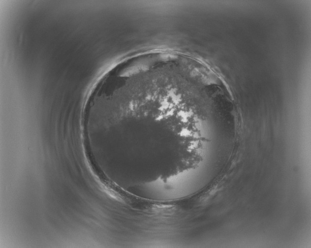 X0000055980055200509092004