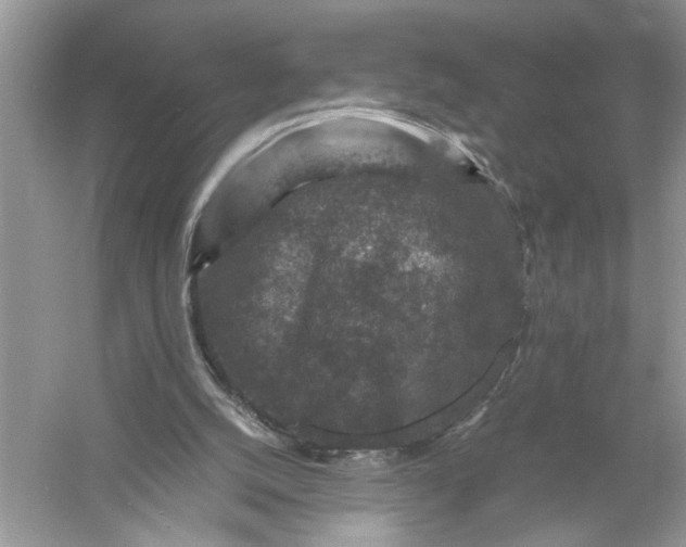 X0000055980056200509092004