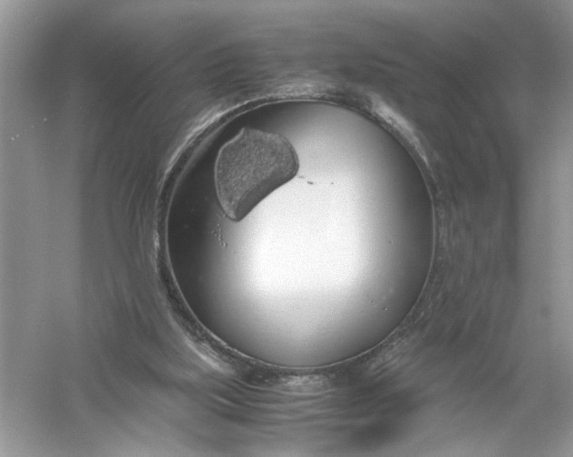 X0000055980059200509092004