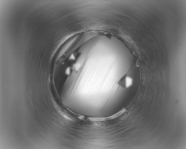 X0000055980060200509092004