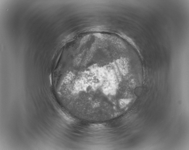 X0000055980061200509092004