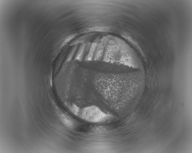 X0000055980062200509092004