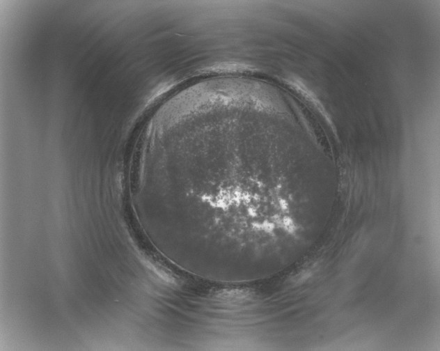 X0000055980063200509092004