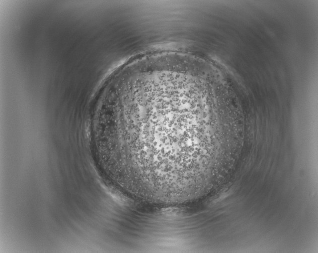 X0000055980064200509092004