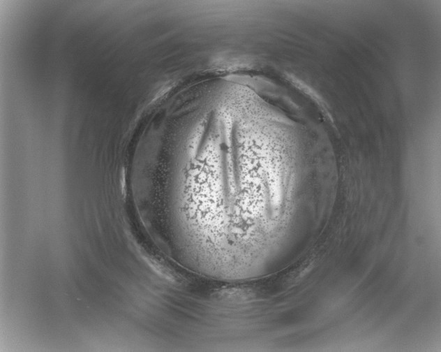 X0000055980067200509092004