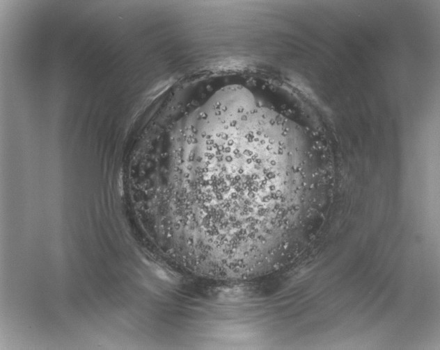 X0000055980068200509092004