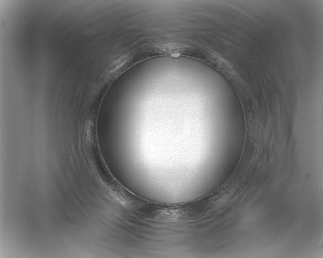 X0000055980071200509092004