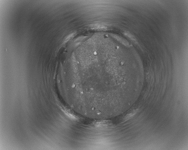 X0000055980072200509092004