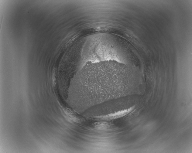 X0000055980074200509092004