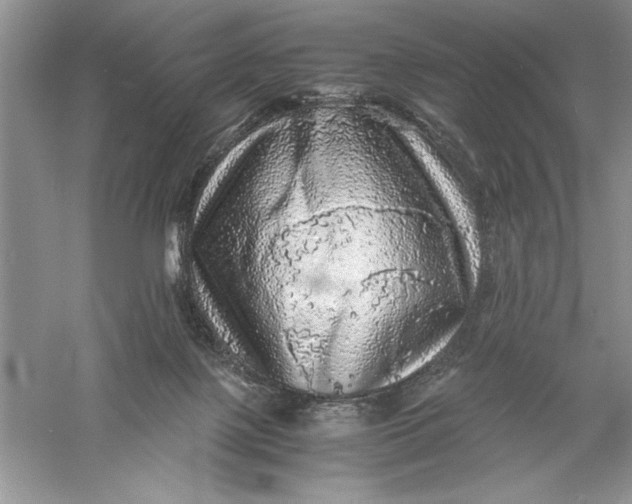 X0000055980075200509092004