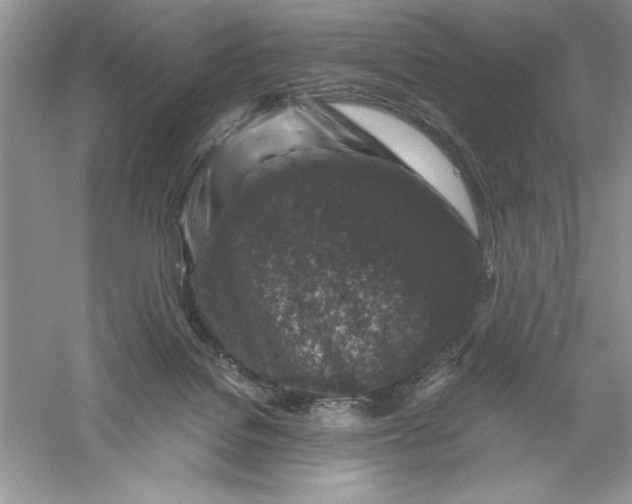 X0000055980076200509092004