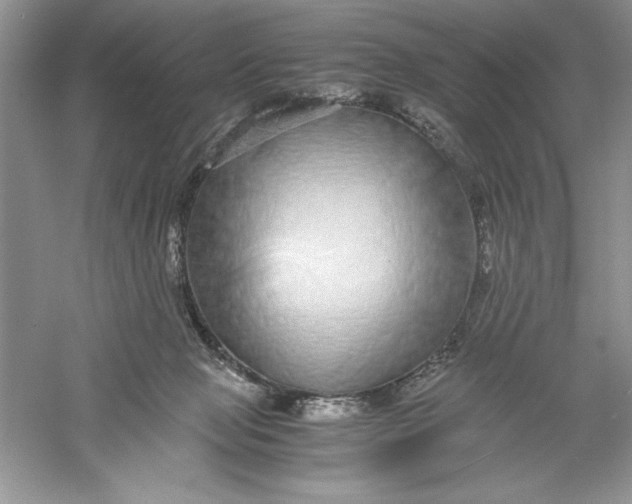 X0000055980077200509092004