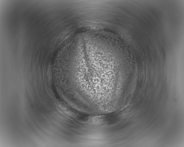 X0000055980078200509092004