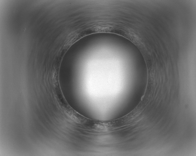 X0000055980079200509092004