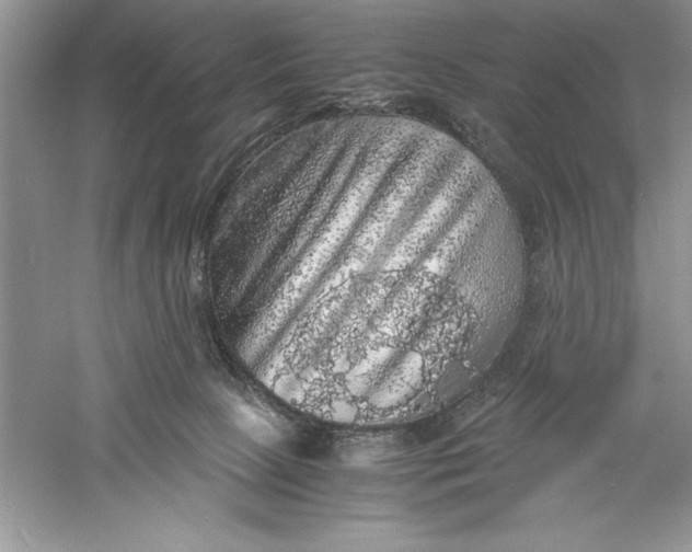 X0000055980081200509092004