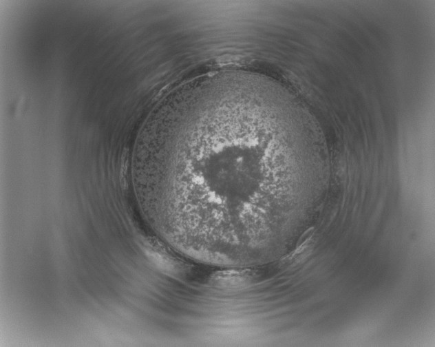 X0000055980082200509092004