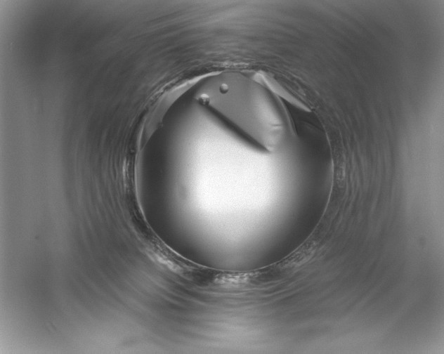 X0000055980084200509092004