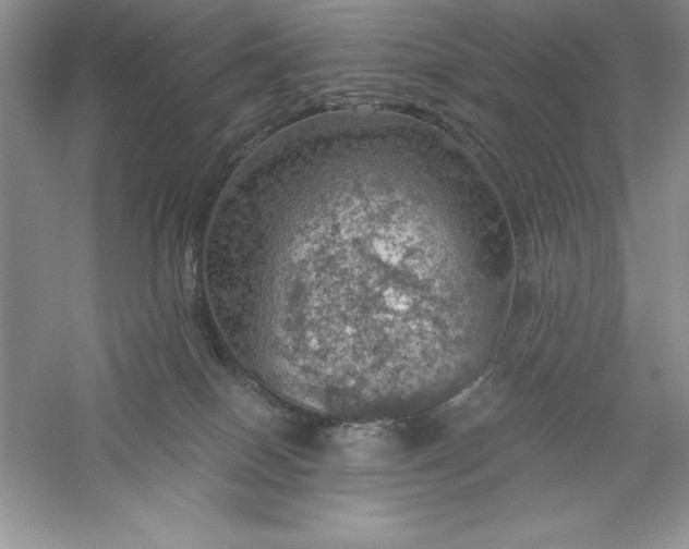 X0000055980086200509092004