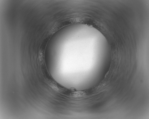 X0000055980087200509092004