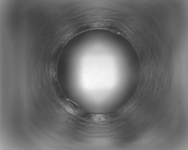 X0000055980091200509092004