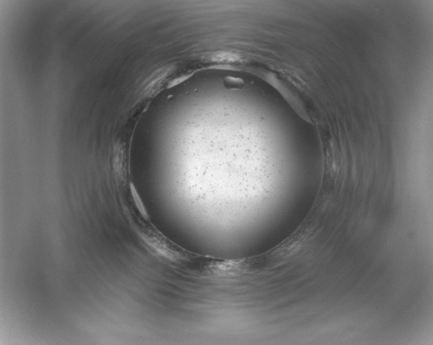 X0000055980092200509092004