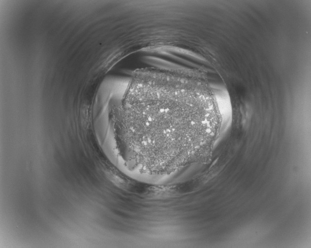 X0000055980093200509092004