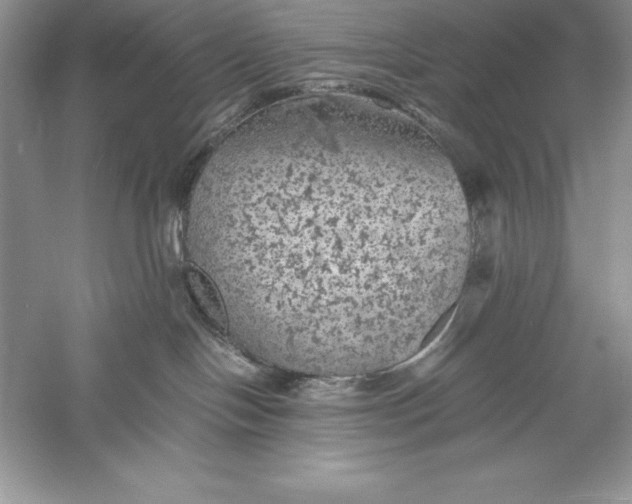 X0000055980094200509092004