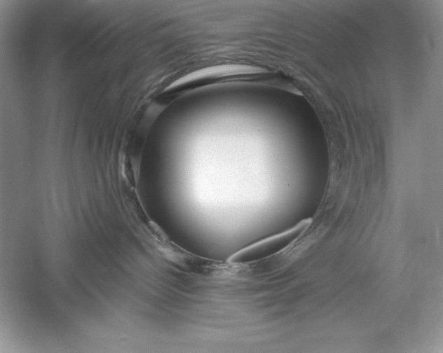 X0000055980096200509092004