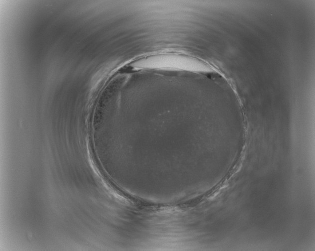 X0000055980097200509092004