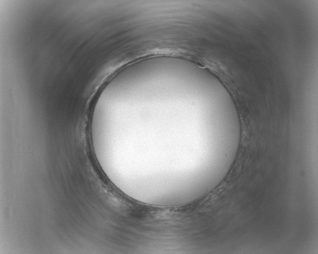 X0000055980098200509092004