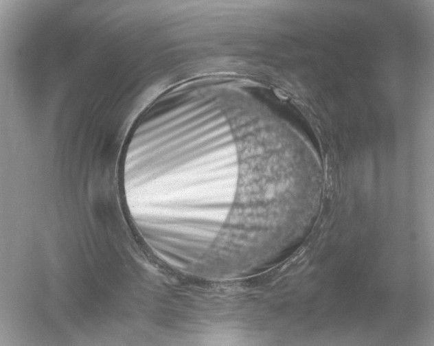 X0000055980099200509092004