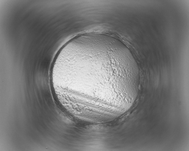 X0000055980100200509092004