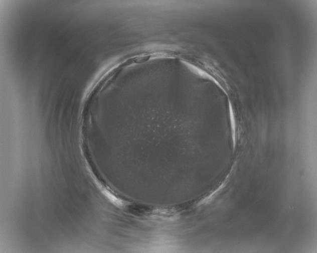 X0000055980101200509092004