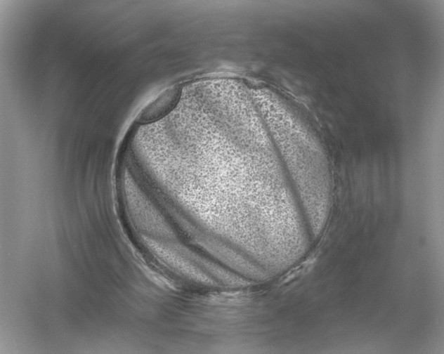 X0000055980102200509092004